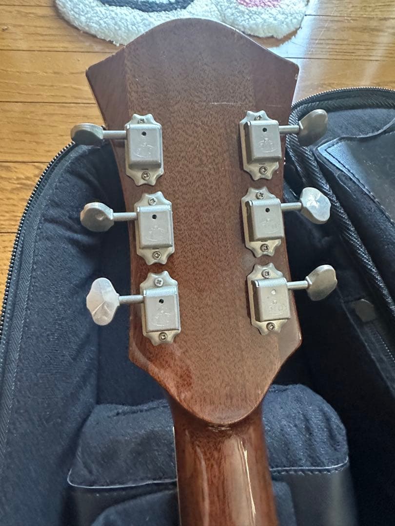 ギター Rozeo Ladybug-CB