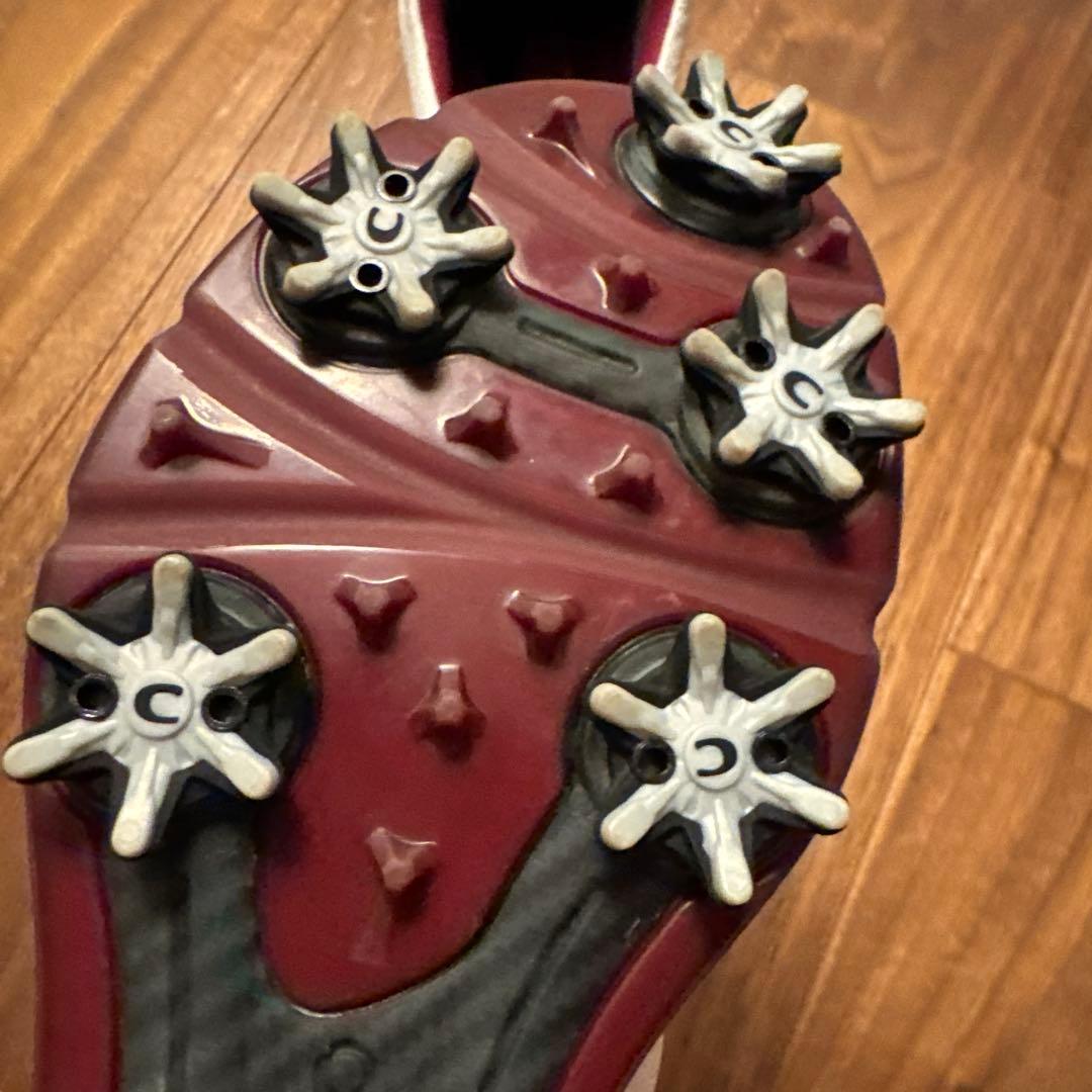 e c coのゴルフシューズレディース用36。本革。防水加工。BOA。