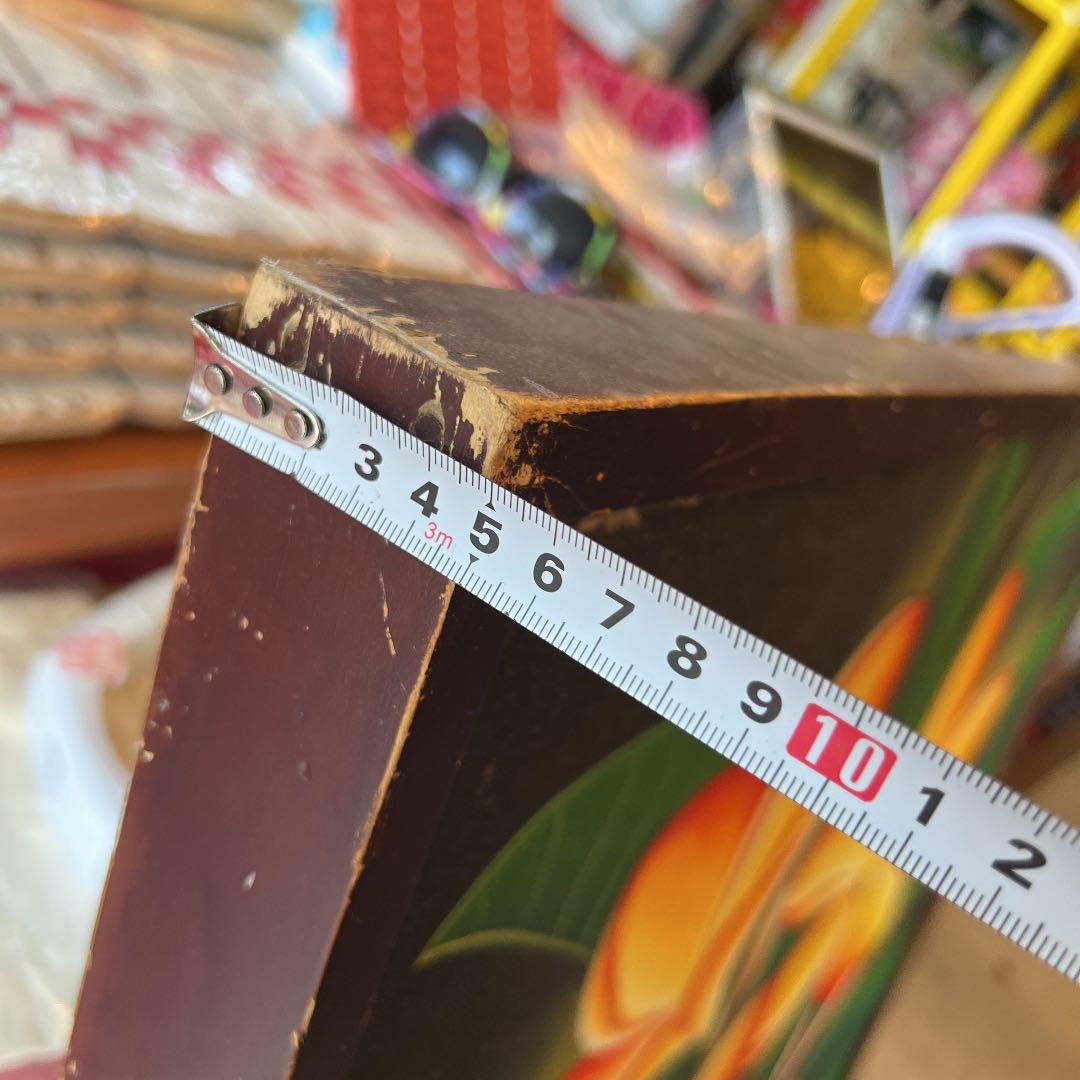 プルメリア 絵画