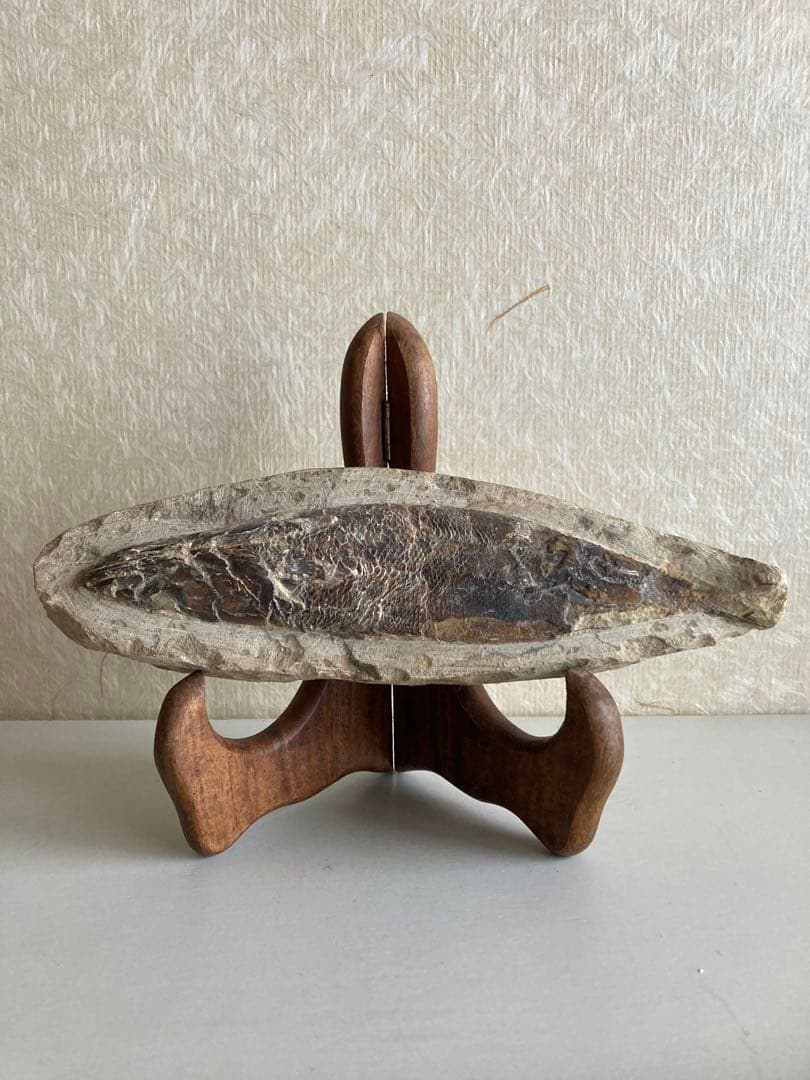 【魚化石 標本 21cm】天然ヴィンテージ｜一点物オブジェ｜アート／インテリア