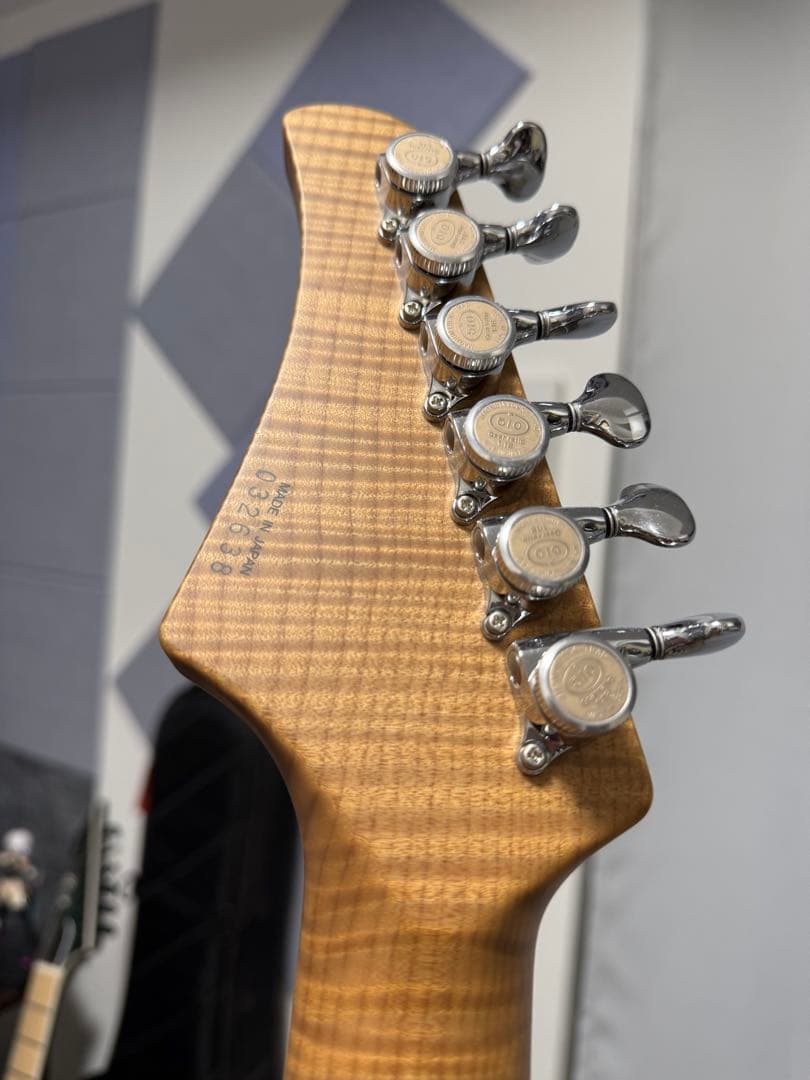 ギター T's Guitars DTL-22