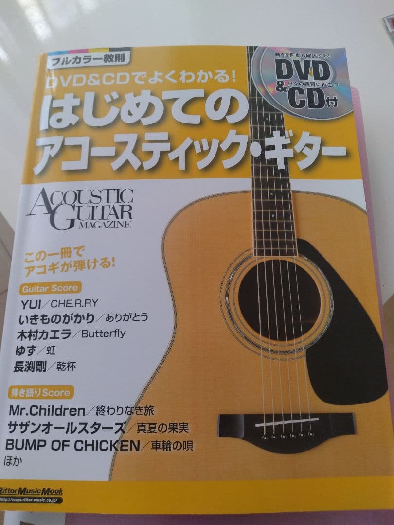 TRAVELLER GUITARS アコースティックギター