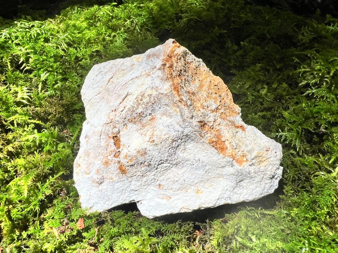 龍脈の精髄 水晶 魂を導く結晶の花 売上一部保護猫活動に使用