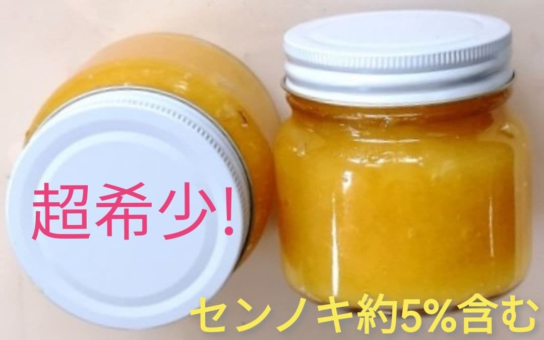 残り30キロ 早いもの勝ち 3キロ ぼだいじゅのはちみつ （リンデン蜂蜜）非加熱