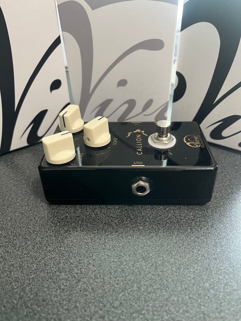 ギター Vivie CALLION