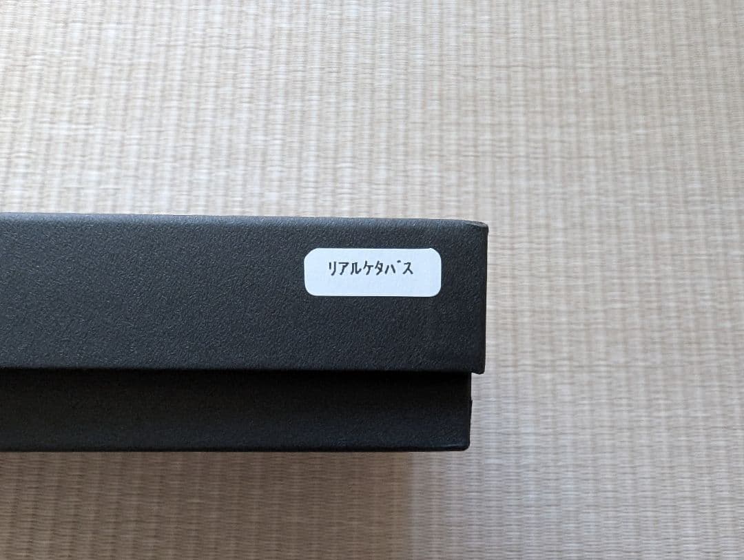 スライドスイマー250 シャダーテール