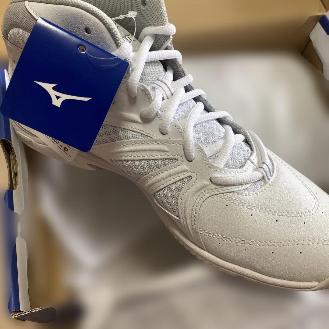 Mizuno ウエーブダイバース　LG3ホワイト 27.0cm