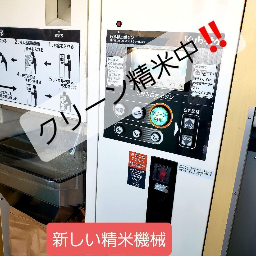 令和7年産棚田育ちのヒヨクモチ20kg 新米