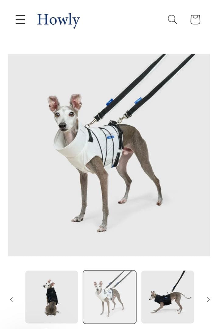 首輪・ハーネス・リード Howly FRAME-X ADV HARNESS - White Ssize