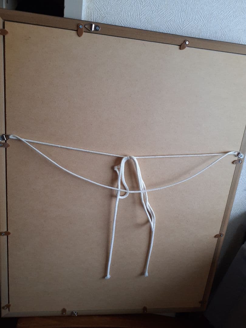 ロッキンジェリービーン シルクスクリーン デビルマン 額縁セット