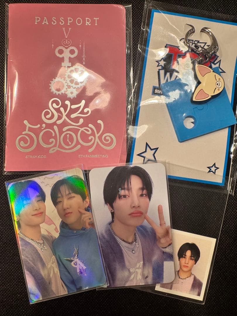 Straykids SKZOO ぬいぐるみ テディベア アイエン フォクシニー