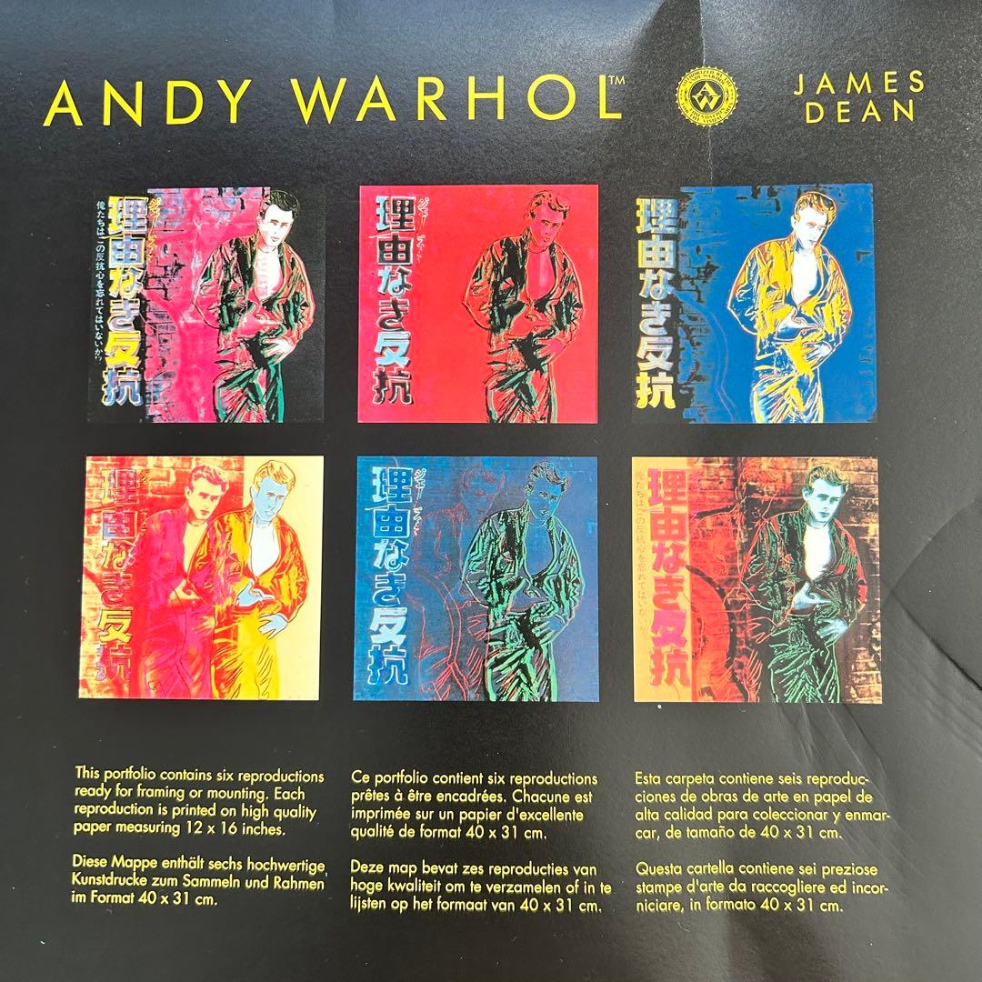 【アンディ・ウォーホル美術財団スタンプつき】『理由なき反抗』 シルクスクリーン