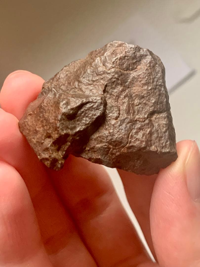 世界最古の石　46億年前の隕石コンドライト　太陽系最古の隕石　石質隕石　鉄隕石