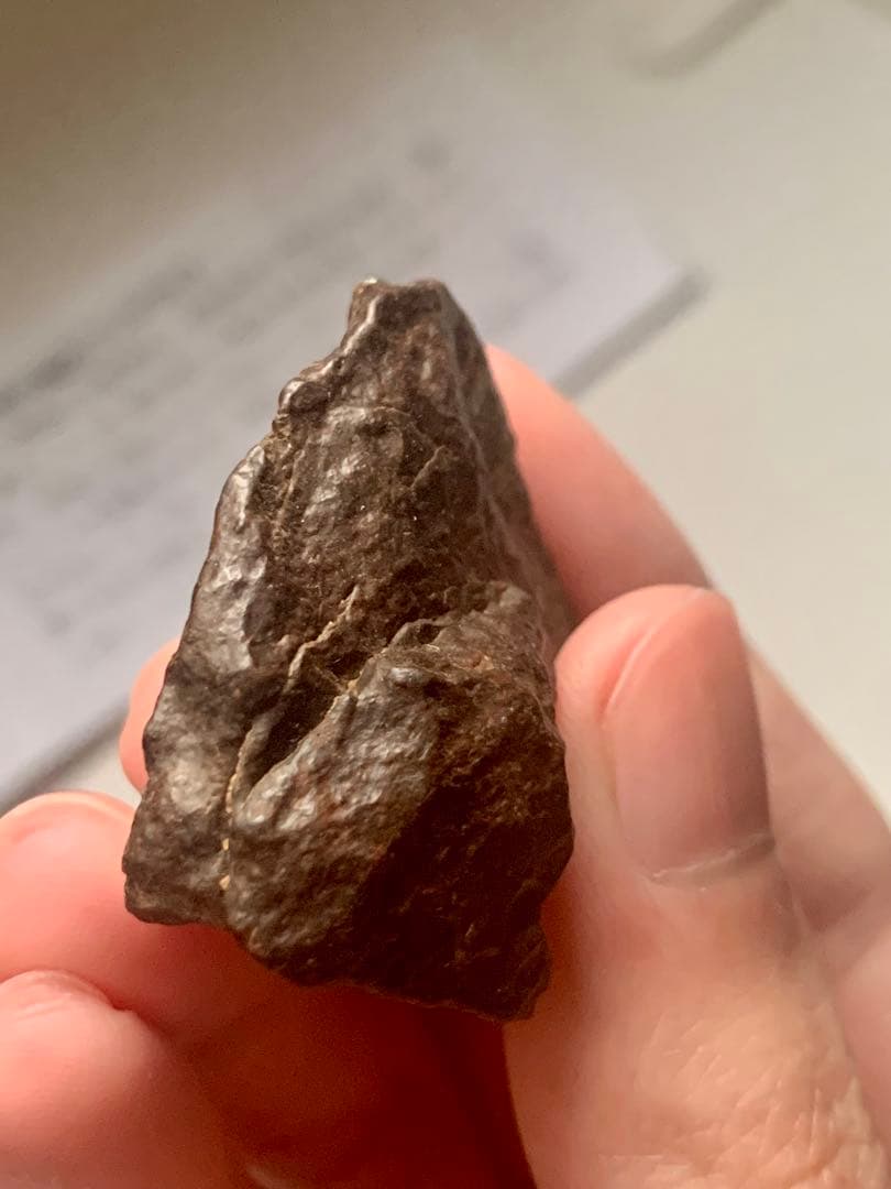 世界最古の石　46億年前の隕石コンドライト　太陽系最古の隕石　石質隕石　鉄隕石