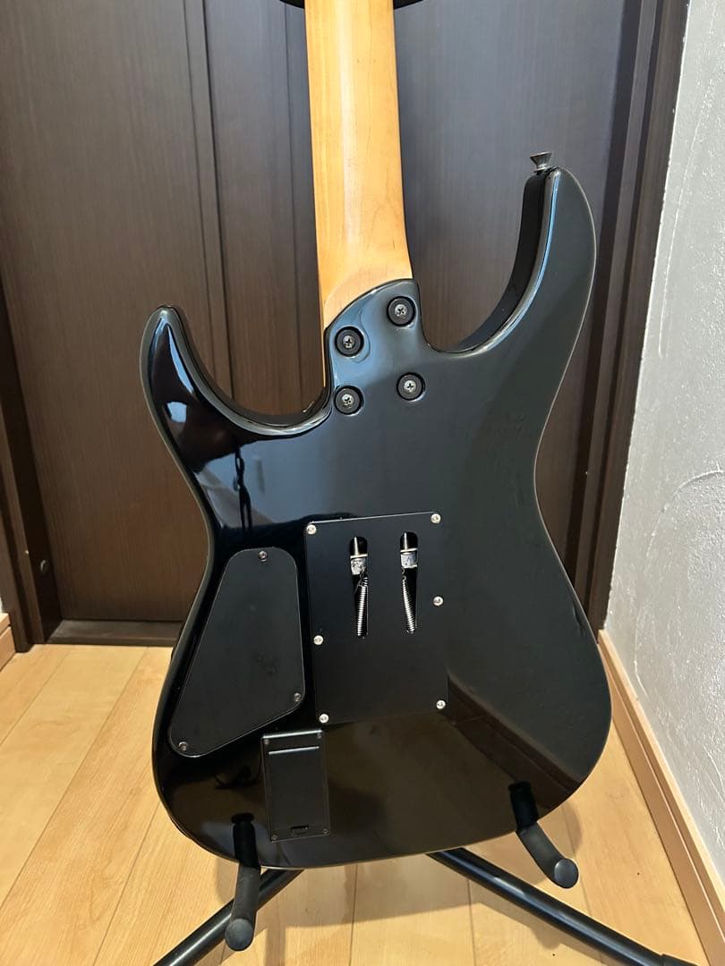 フェルナンデス FR-55