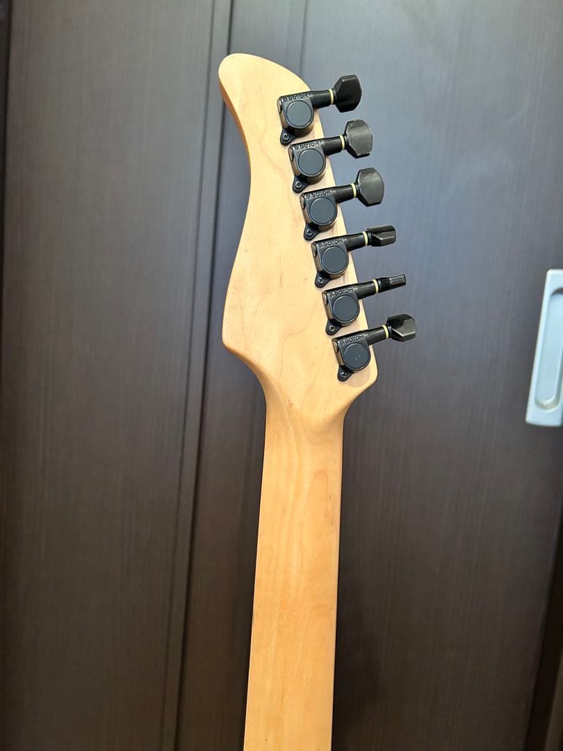 フェルナンデス FR-55