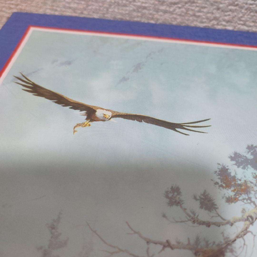 テッド・ブレイロック　ロッキーマウンテン　ジグソーパズル　1000ピース