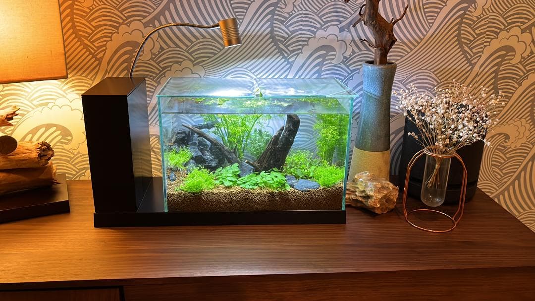 AQUA-U WIDE オールインワン水槽