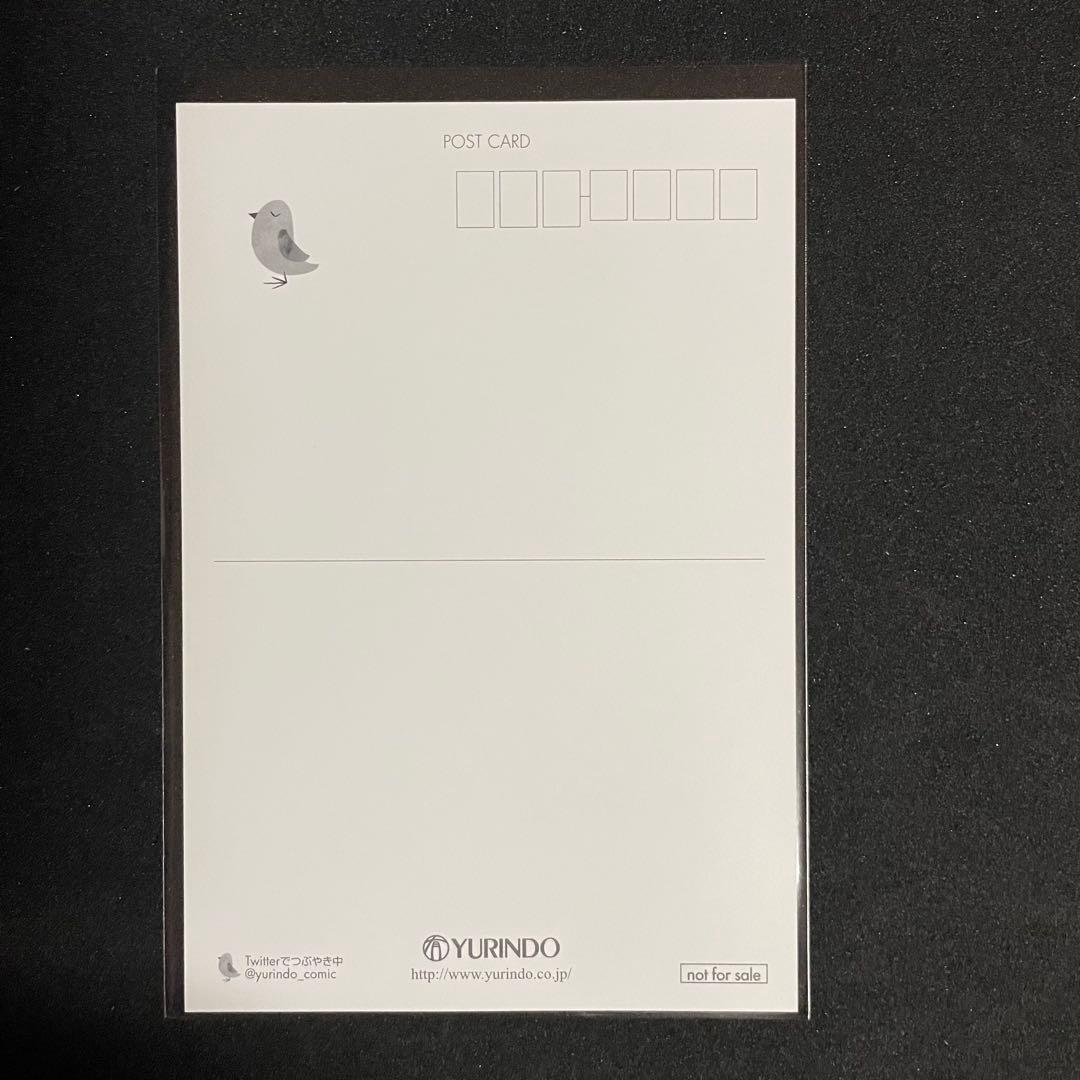 聖闘士星矢 冥王神話外伝［14巻］有隣堂特典 ポストカード 非売品 手代木史織