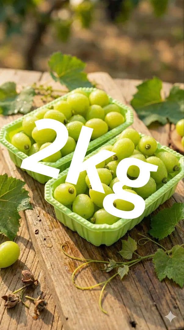 シャインマスカット　粒　2kg