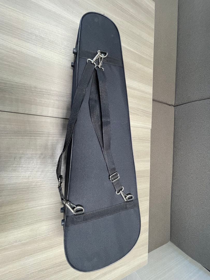 Carlo Giordano バイオリン本体4/4 ケース付き