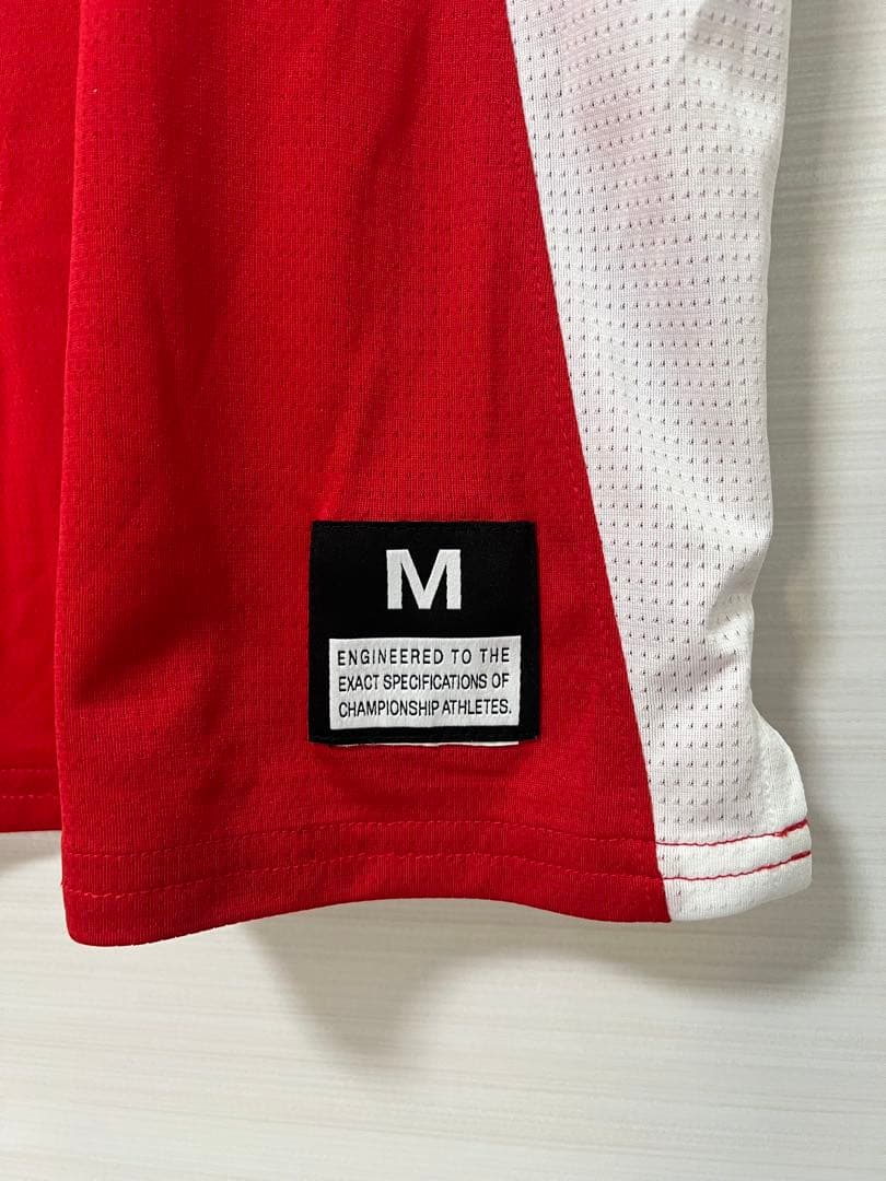 LEBRON SOLDIER 10 レブロンソルジャー 極美品