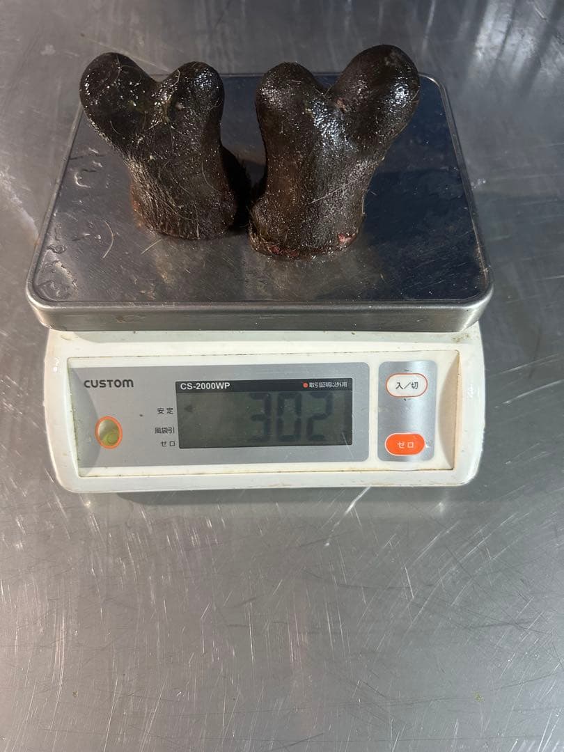 鹿茸　袋角 302g