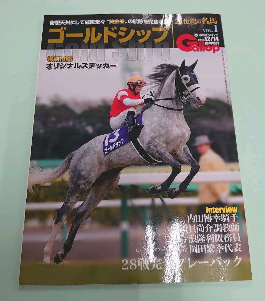 【未開封】ゴールドシップ ぬいぐるみ&Gallop写真集&引退レース馬券 ウマ娘