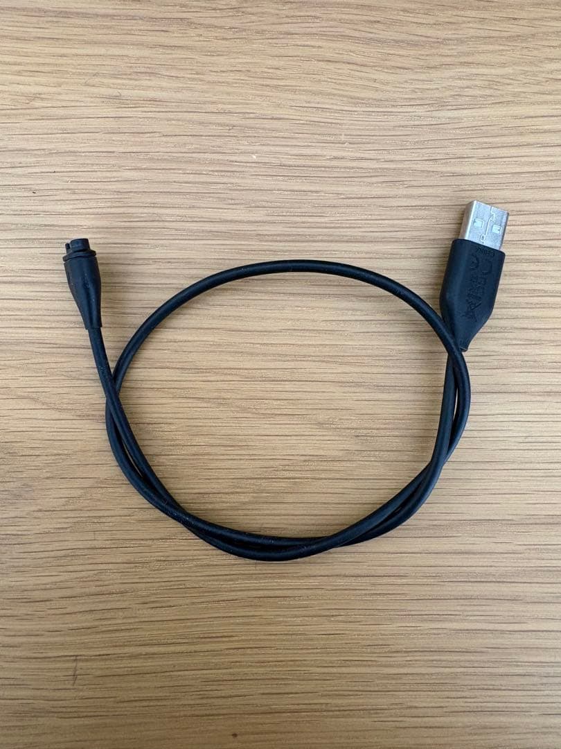 ラウンド用品・アクセサリー garmin approach S12