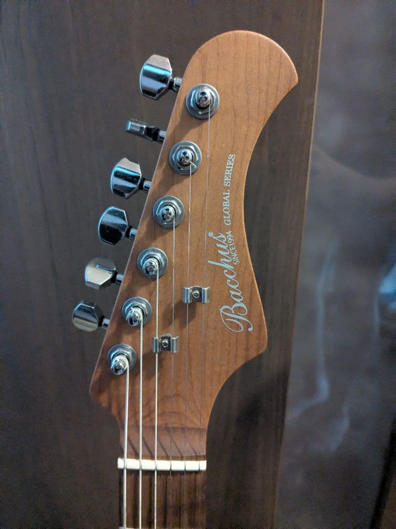 Bacchus TACTICS-STD/RSM CHG-S テレキャスター