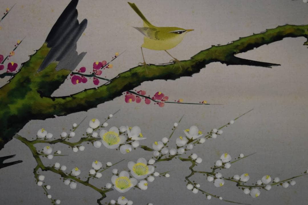 真作/矢島清風/梅花に鴬図/布袋屋掛軸HH-954