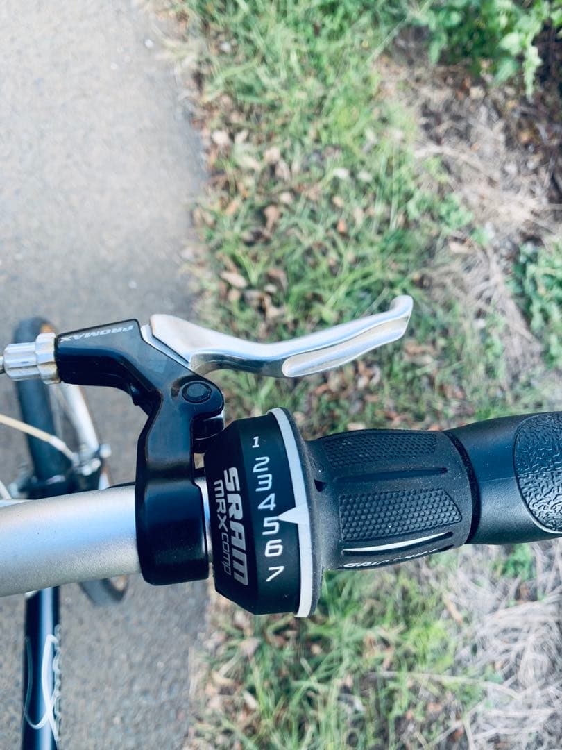 ダホン　折りたたみ自転車