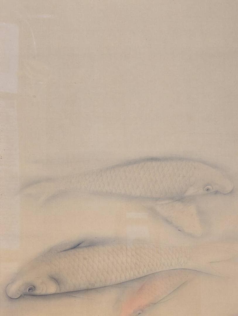 【真作】絵画　徳岡神泉　日本画　鯉　静謐なる水底の美　優雅に泳ぐ和の象徴　Y41