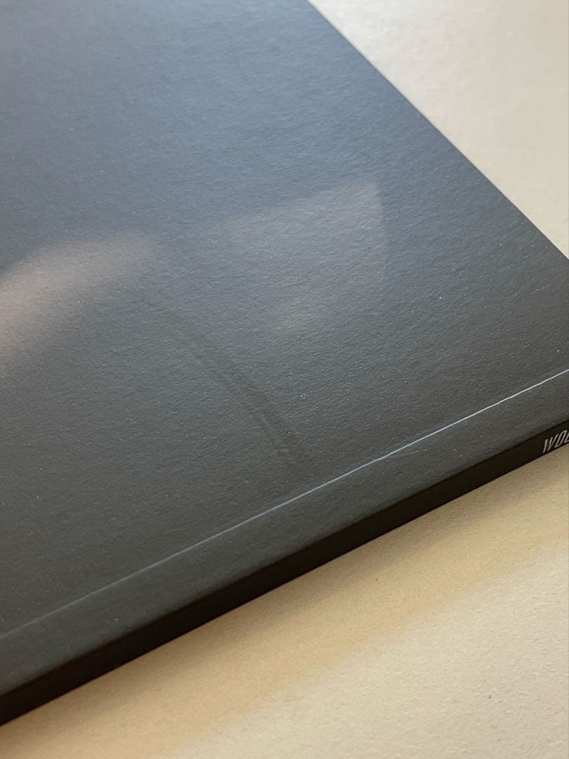 SEVENTEEN ウジ The Thirteen Tapes TTT