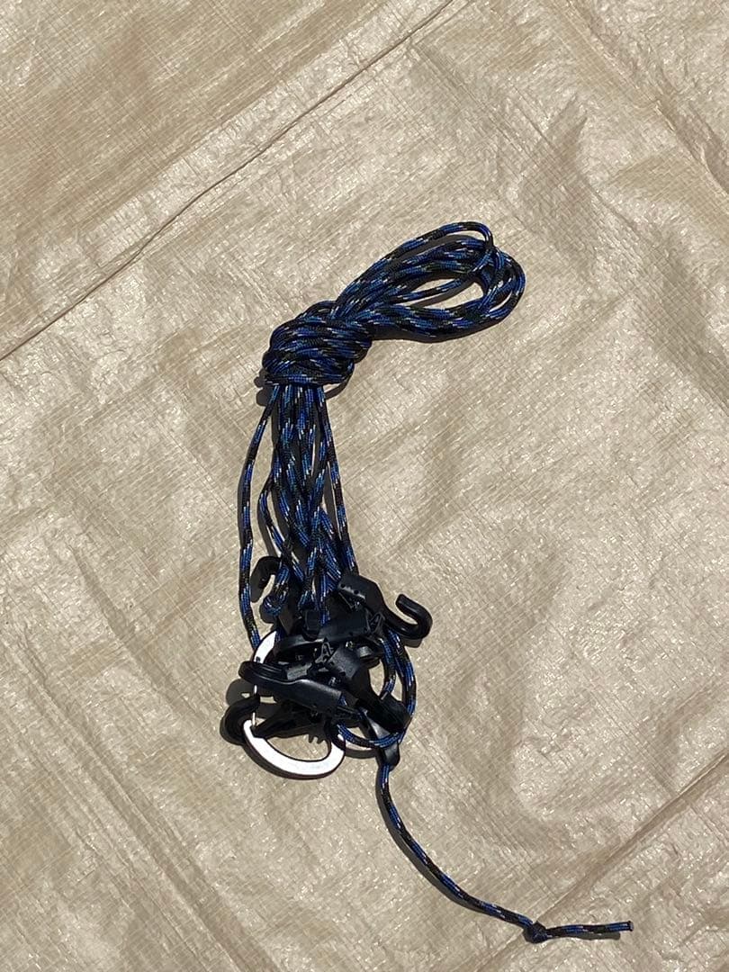 SABBATICAL サバティカル アルニカ