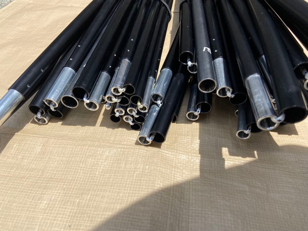 SABBATICAL サバティカル アルニカ