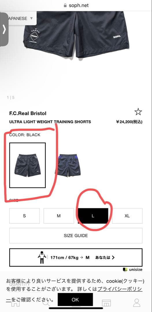 ウェア F.C.Real Bristol