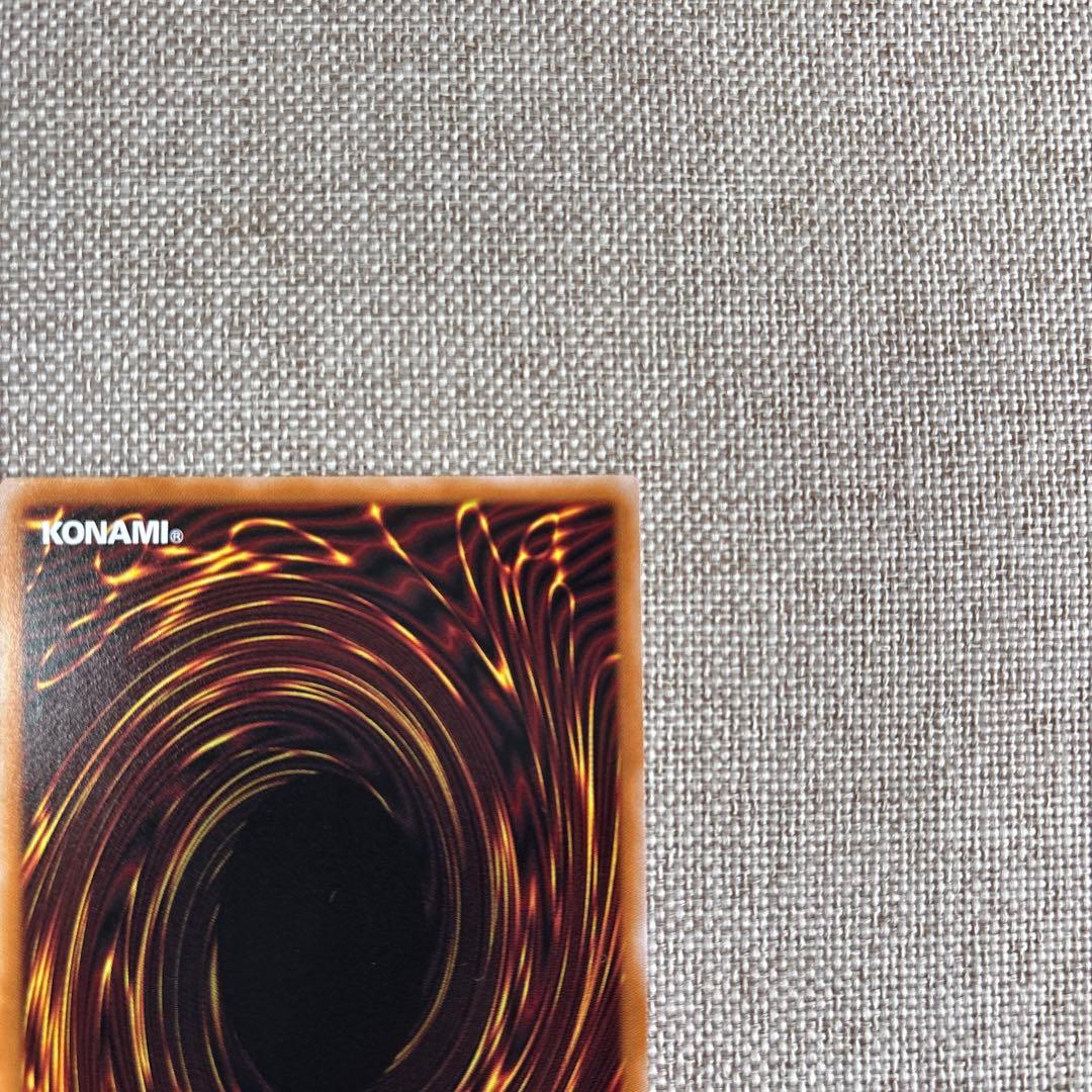 The Fallen & The Virtuos プリシク