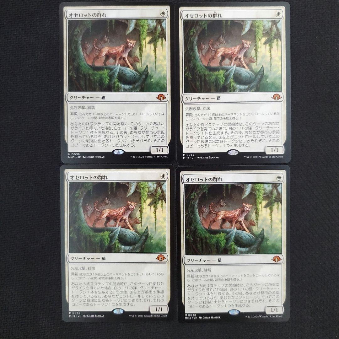 オセロットの群れ 4枚セット