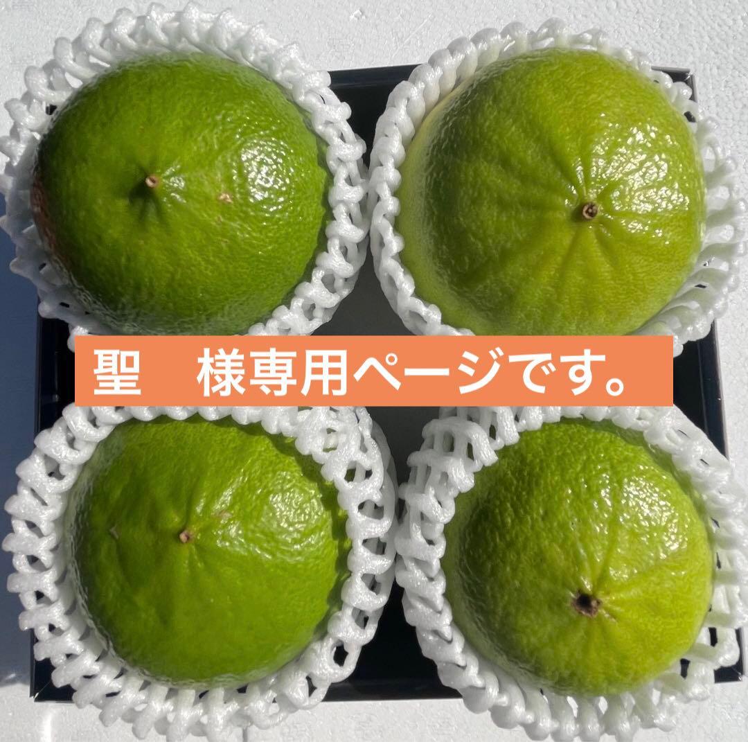 4 国産ベルガモットオレンジ果実香りが強い露地栽培約:9kgA品（一部B品含む）