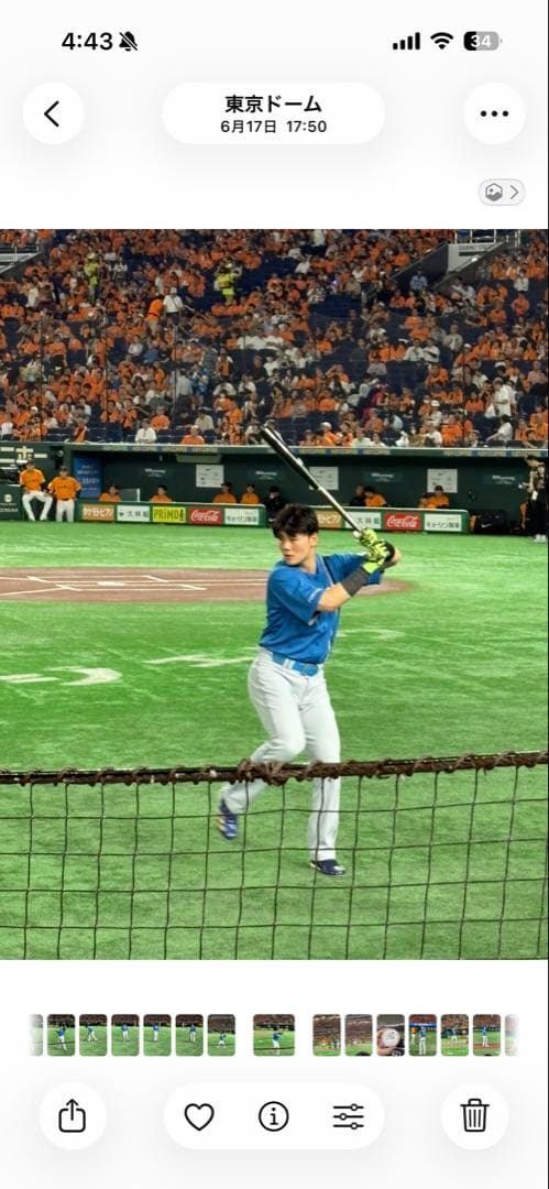 巨人　ジャイアンツ　坂本勇人　投げ入れ　投げ込み　直筆サインボール