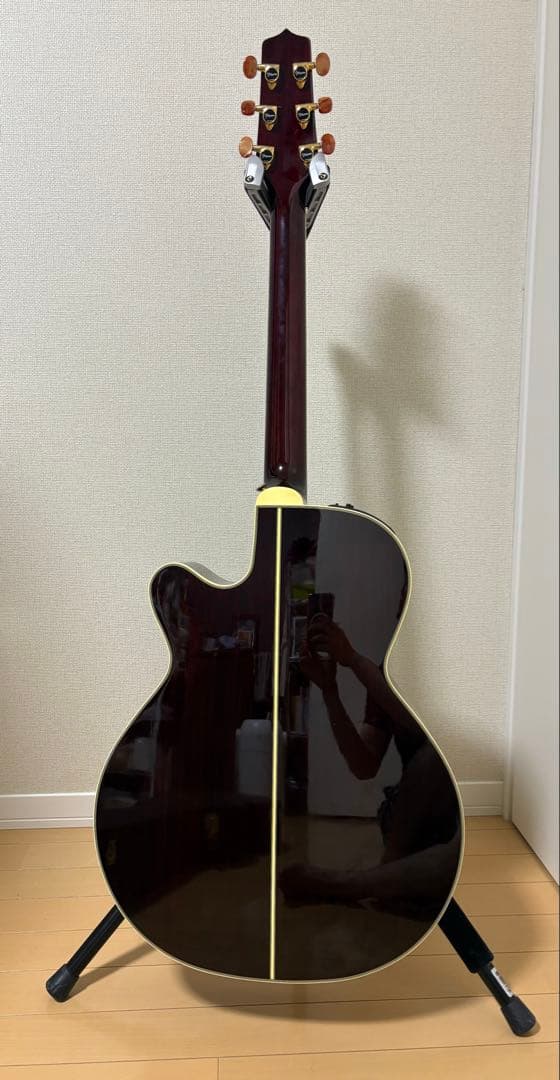 ギター Takamine DMP50S WR