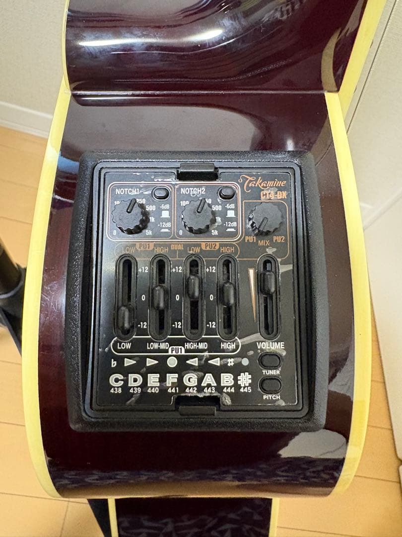 ギター Takamine DMP50S WR