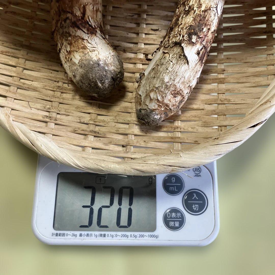 岩手県産松茸　320g