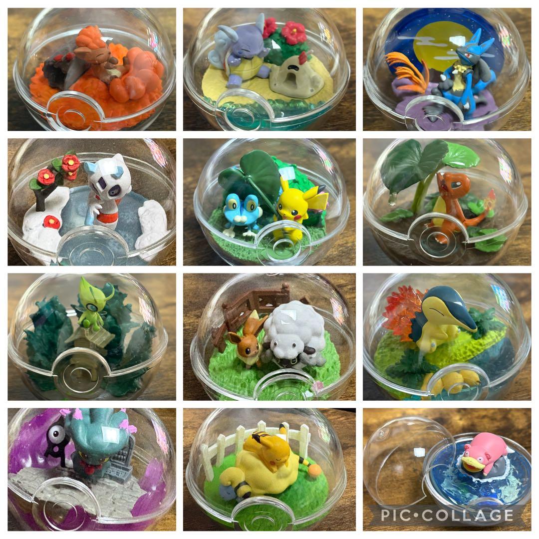 ポケモン テラリウムコレクション ⚠️プロフ必読