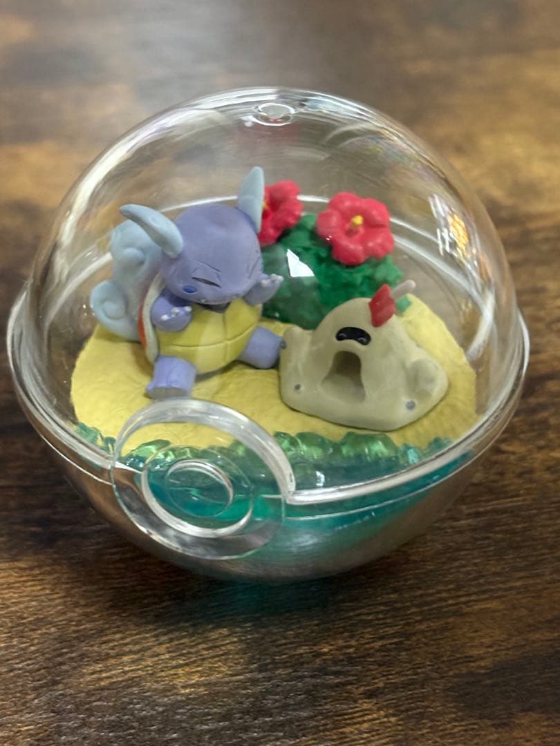 ポケモン テラリウムコレクション ⚠️プロフ必読