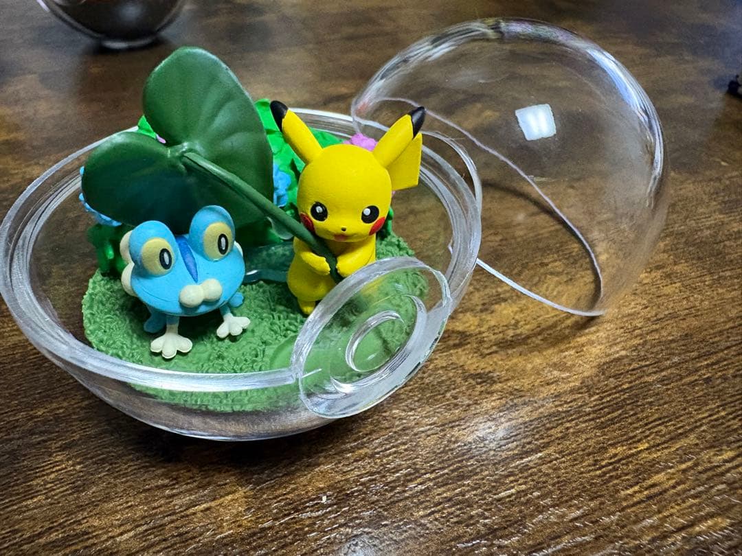 ポケモン テラリウムコレクション ⚠️プロフ必読