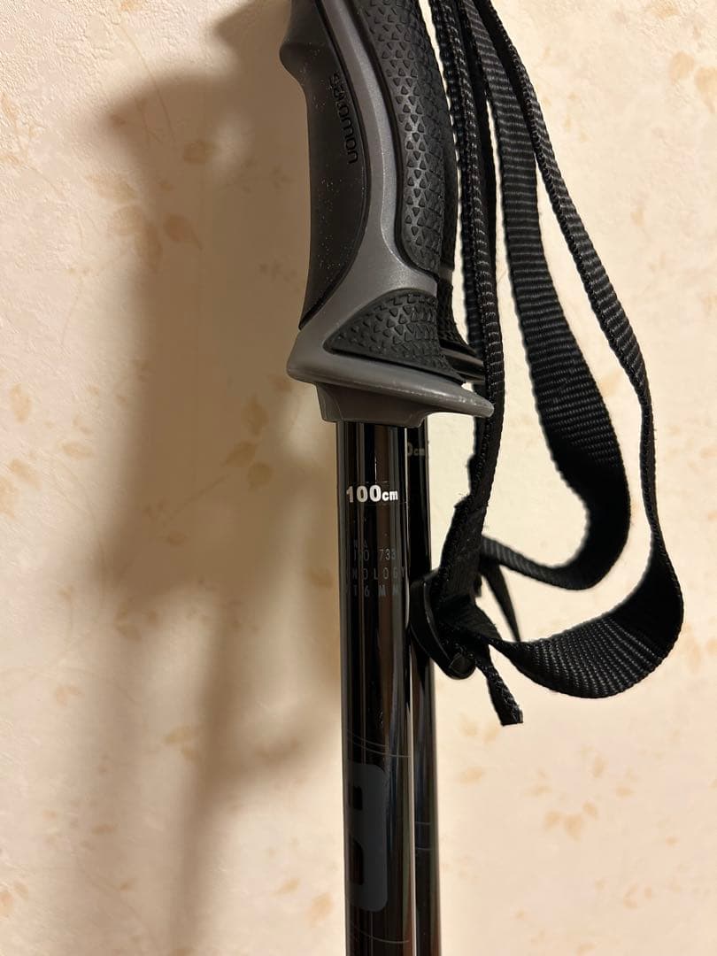 Salomon force five 140cm ストック付き100cm