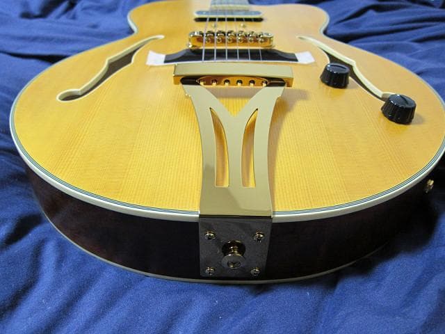 cotrane様　Ibanez PM3C Natural Amber