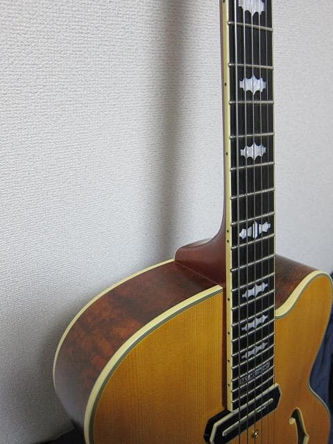 cotrane様　Ibanez PM3C Natural Amber